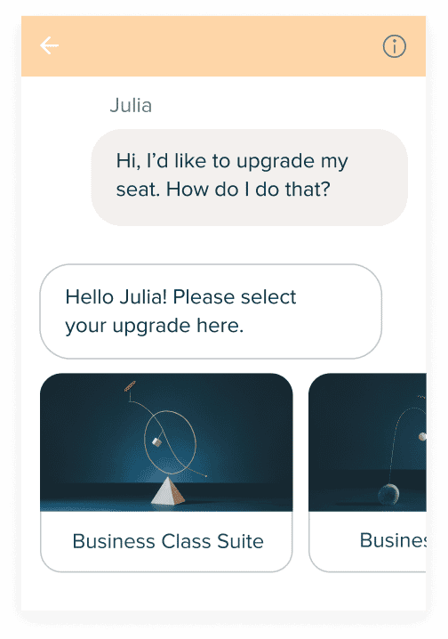 Product screen: Chat window with cross-sell upgrade options